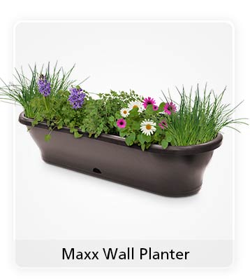 Maxx Wall Planter