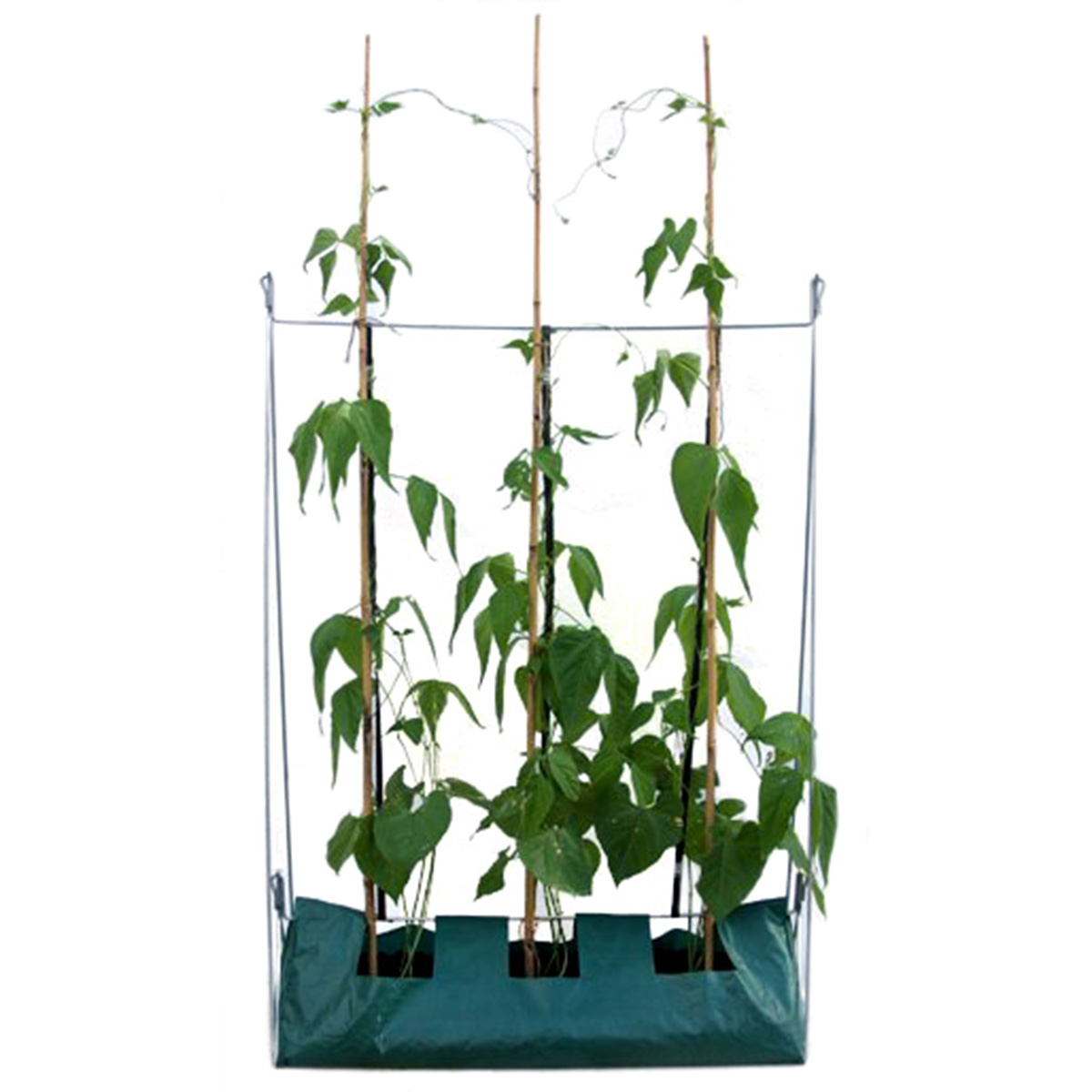 Cages & Frames Grow Bag Frame